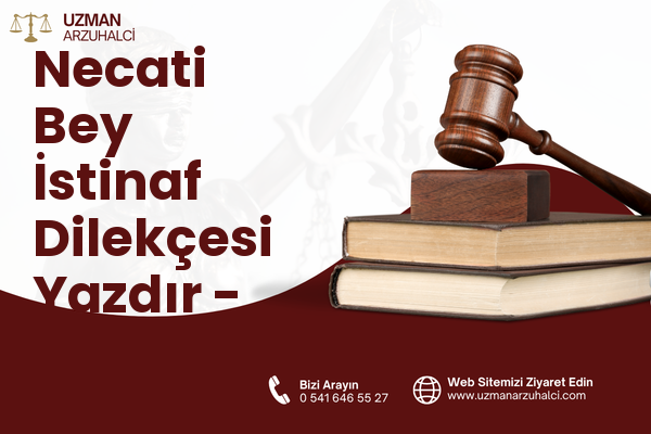 Necati Bey İstinaf Dilekçesi Yazdır - Altındağ