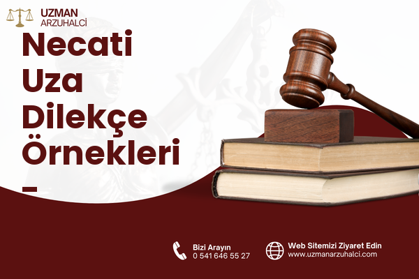 Necati Uza Dilekçe Örnekleri - Bayındır