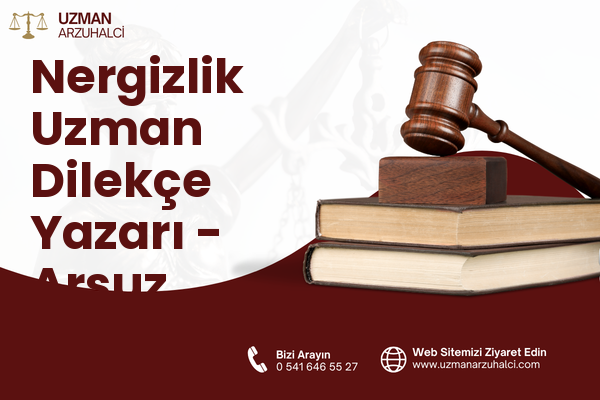 Nergizlik Uzman Dilekçe Yazarı - Arsuz