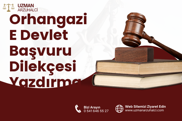 Orhangazi E Devlet Başvuru Dilekçesi Yazdırma - Dilovası
