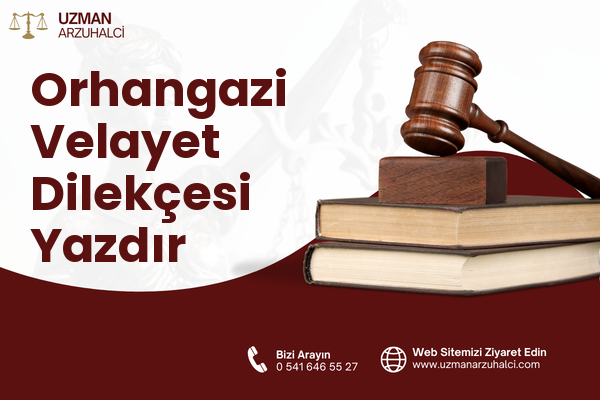 Orhangazi Velayet Dilekçesi Yazdır