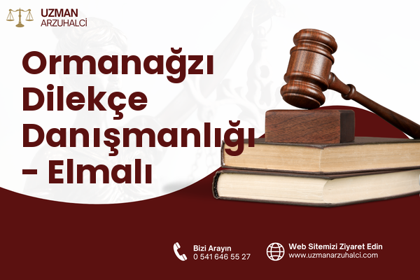 Ormanağzı Dilekçe Danışmanlığı - Elmalı