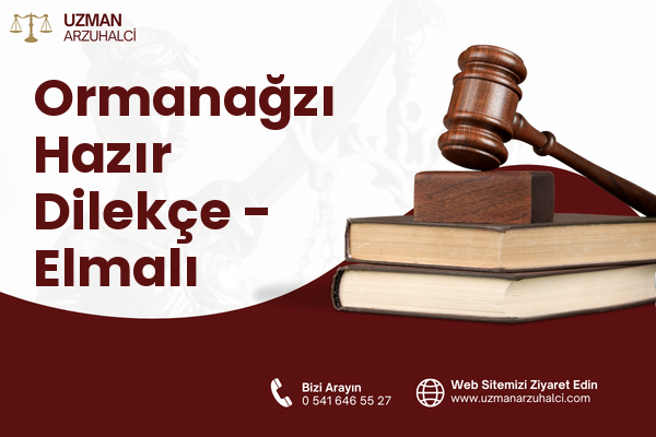Ormanağzı Hazır Dilekçe - Elmalı