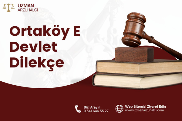 Ortaköy E Devlet Dilekçe