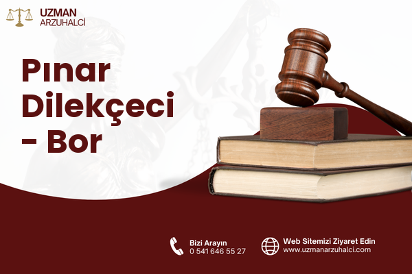 Pınar Dilekçeci - Bor