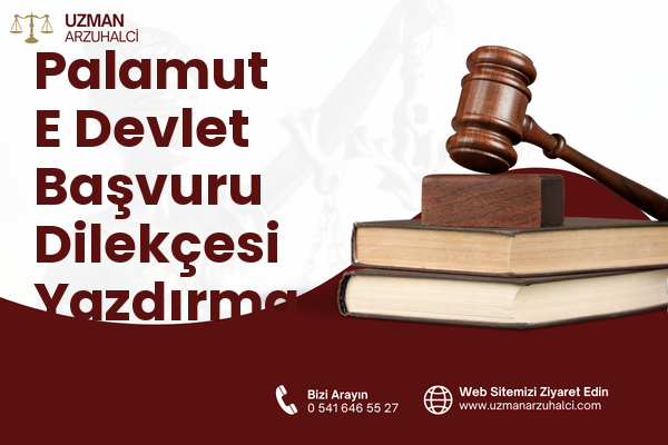 Palamut E Devlet Başvuru Dilekçesi Yazdırma - Kaş