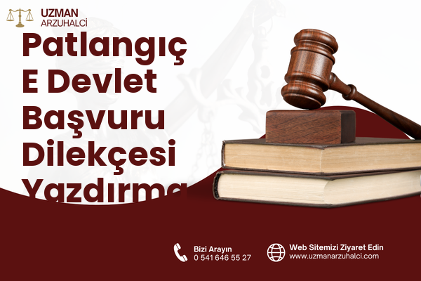 Patlangıç E Devlet Başvuru Dilekçesi Yazdırma - Fethiye