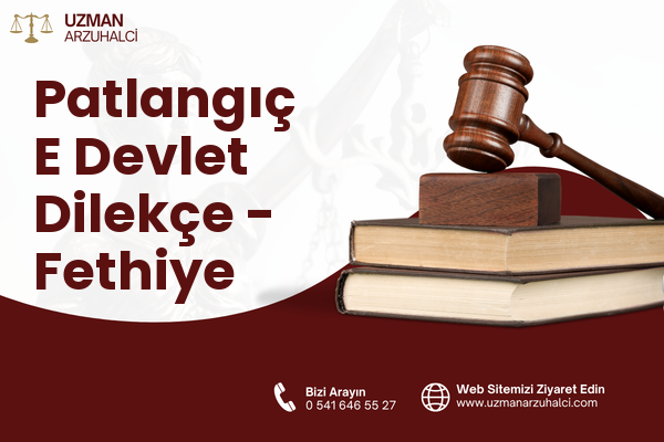 Patlangıç E Devlet Dilekçe - Fethiye