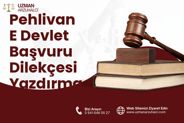 Pehlivan E Devlet Başvuru Dilekçesi Yazdırma - Merkez