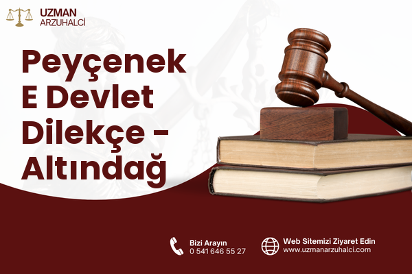 Peyçenek E Devlet Dilekçe - Altındağ