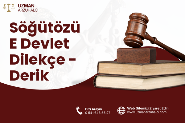 Söğütözü E Devlet Dilekçe - Derik