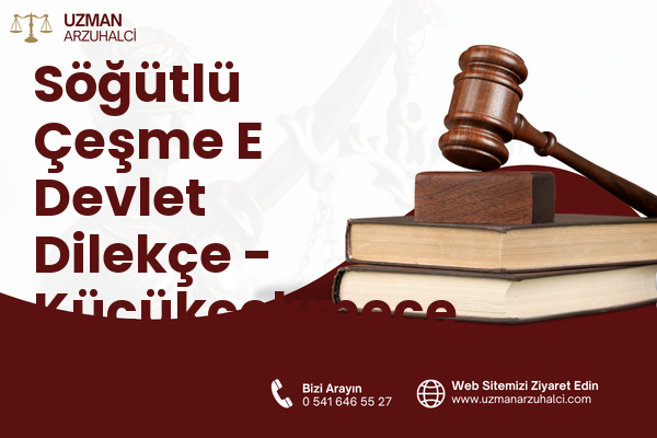 Söğütlü Çeşme E Devlet Dilekçe - Küçükçekmece