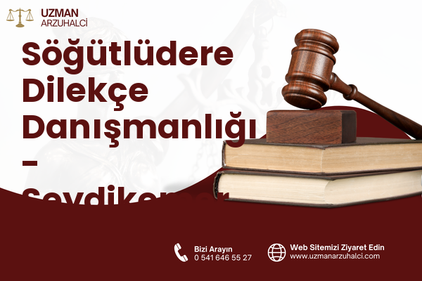 Söğütlüdere Dilekçe Danışmanlığı - Seydikemer