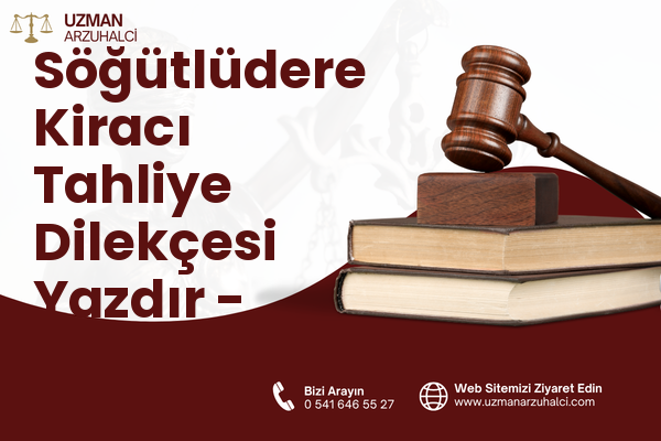 Söğütlüdere Kiracı Tahliye Dilekçesi Yazdır - Seydikemer