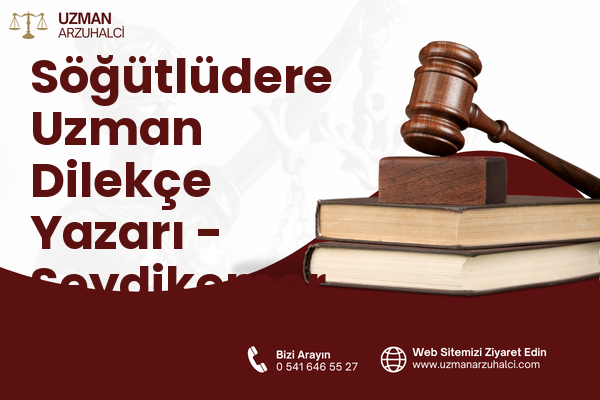 Söğütlüdere Uzman Dilekçe Yazarı - Seydikemer