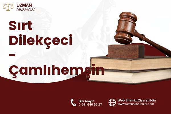 Sırt Dilekçeci - Çamlıhemşin