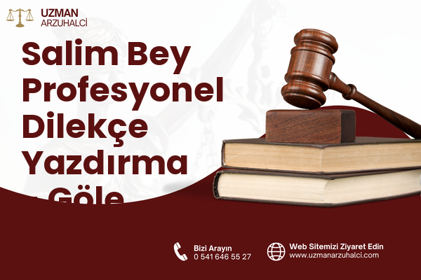 Salim Bey Profesyonel Dilekçe Yazdırma - Göle