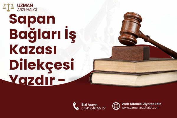 Sapan Bağları İş Kazası Dilekçesi Yazdır - Pendik