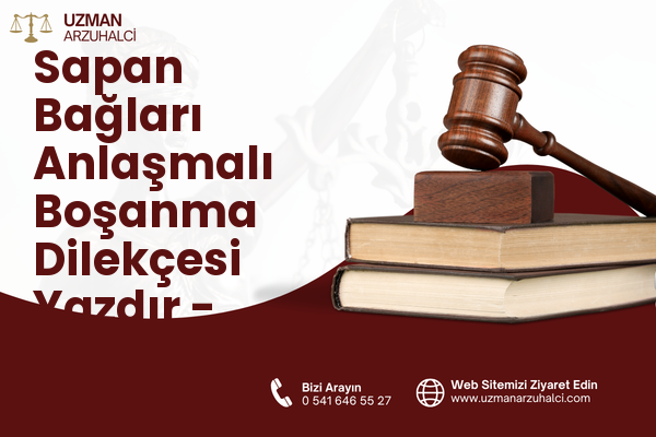 Sapan Bağları Anlaşmalı Boşanma Dilekçesi Yazdır - Pendik