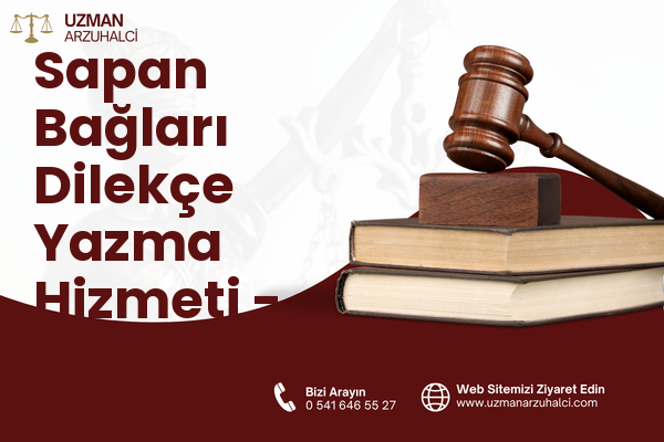 Sapan Bağları Dilekçe Yazma Hizmeti - Pendik
