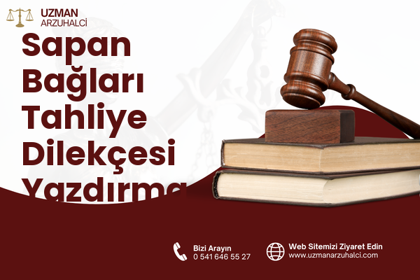 Sapan Bağları Tahliye Dilekçesi Yazdırma - Pendik