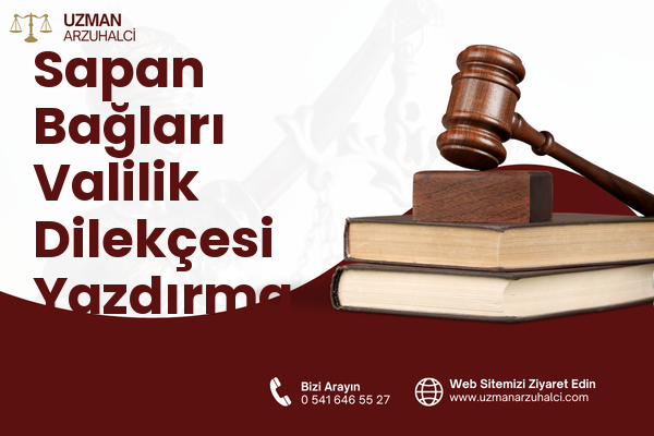 Sapan Bağları Valilik Dilekçesi Yazdırma - Pendik