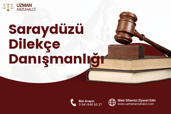 Saraydüzü Dilekçe Danışmanlığı