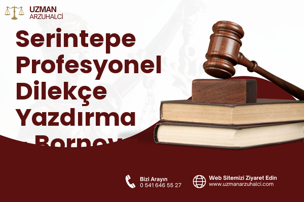 Serintepe Profesyonel Dilekçe Yazdırma - Bornova