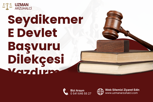 Seydikemer E Devlet Başvuru Dilekçesi Yazdırma