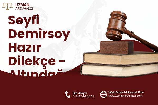 Seyfi Demirsoy Hazır Dilekçe - Altındağ