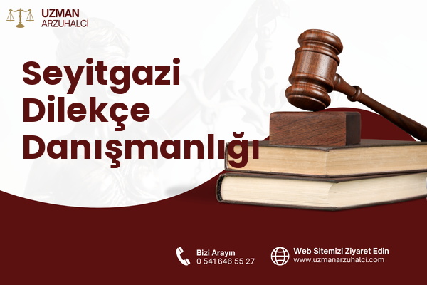 Seyitgazi Dilekçe Danışmanlığı
