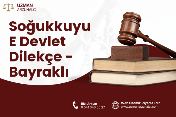 Soğukkuyu E Devlet Dilekçe - Bayraklı