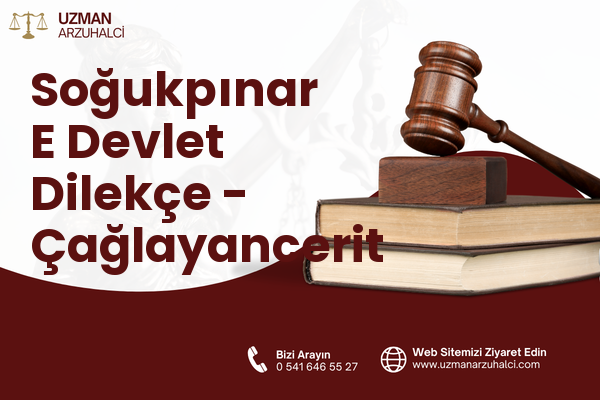 Soğukpınar E Devlet Dilekçe - Çağlayancerit