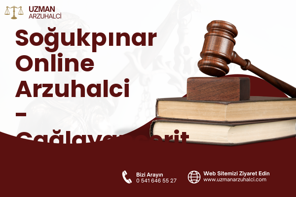 Soğukpınar Online Arzuhalci - Çağlayancerit