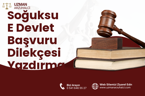 Soğuksu E Devlet Başvuru Dilekçesi Yazdırma - Beykoz
