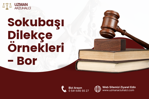 Sokubaşı Dilekçe Örnekleri - Bor