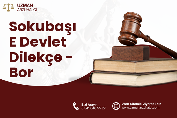 Sokubaşı E Devlet Dilekçe - Bor