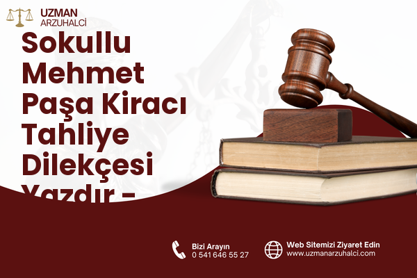 Sokullu Mehmet Paşa Kiracı Tahliye Dilekçesi Yazdır - Çankaya