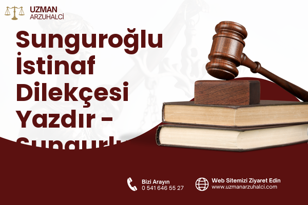 Sunguroğlu İstinaf Dilekçesi Yazdır - Sungurlu