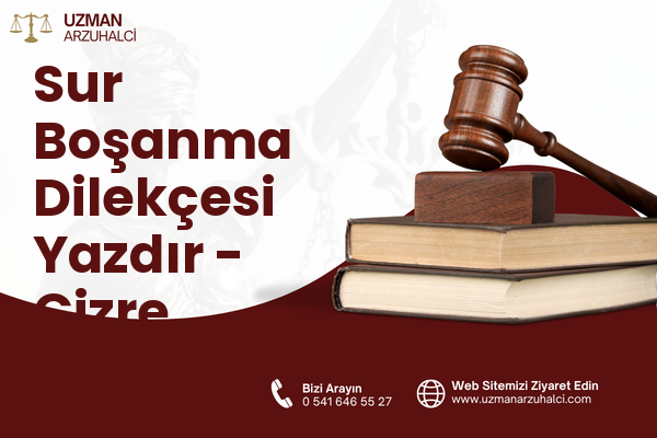 Sur Boşanma Dilekçesi Yazdır - Cizre