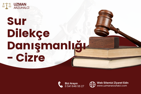 Sur Dilekçe Danışmanlığı - Cizre
