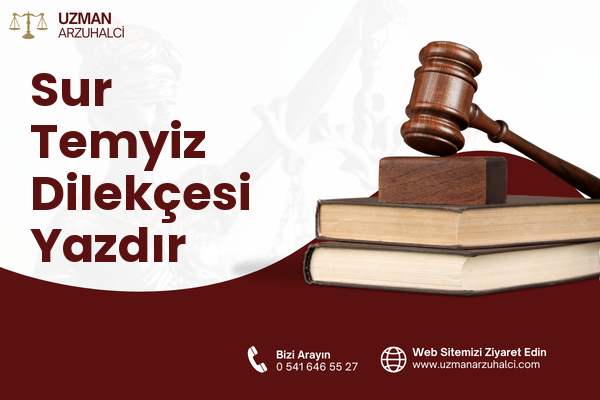 Sur Temyiz Dilekçesi Yazdır