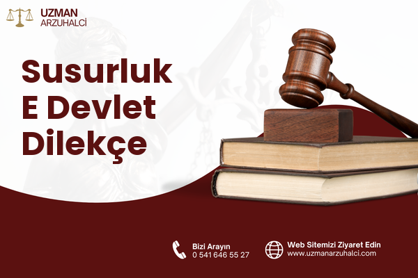 Susurluk E Devlet Dilekçe