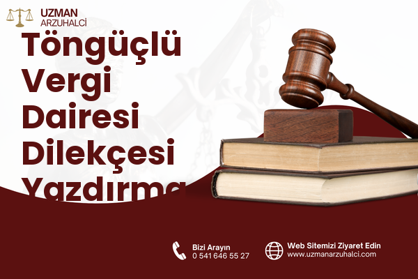 Töngüçlü Vergi Dairesi Dilekçesi Yazdırma - Serik
