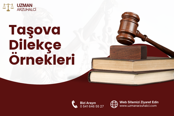 Taşova Dilekçe Örnekleri