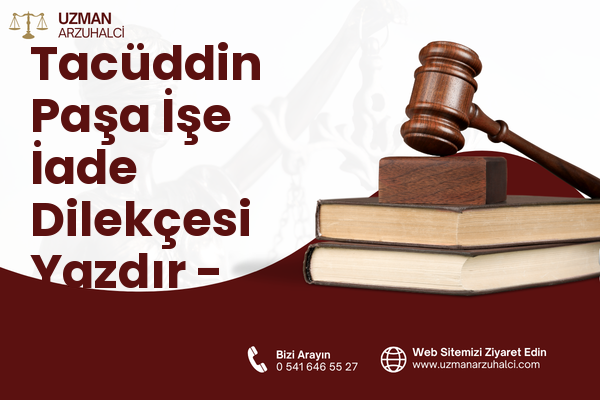 Tacüddin Paşa İşe İade Dilekçesi Yazdır - Vezirköprü