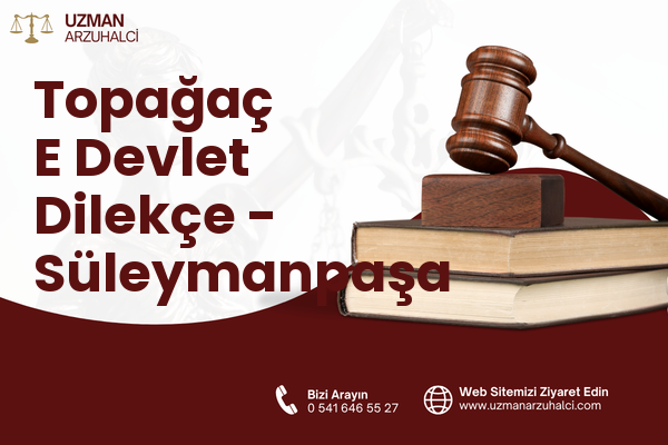 Topağaç E Devlet Dilekçe - Süleymanpaşa