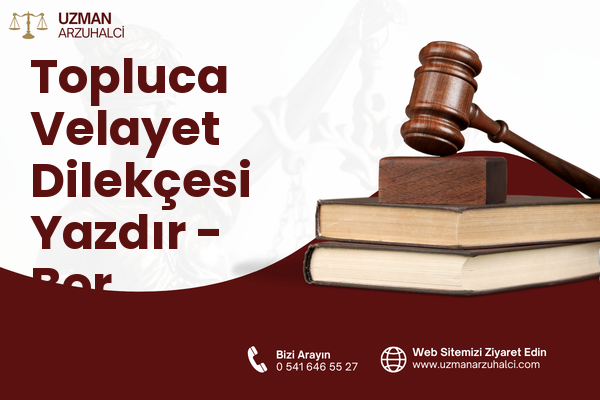Topluca Velayet Dilekçesi Yazdır - Bor