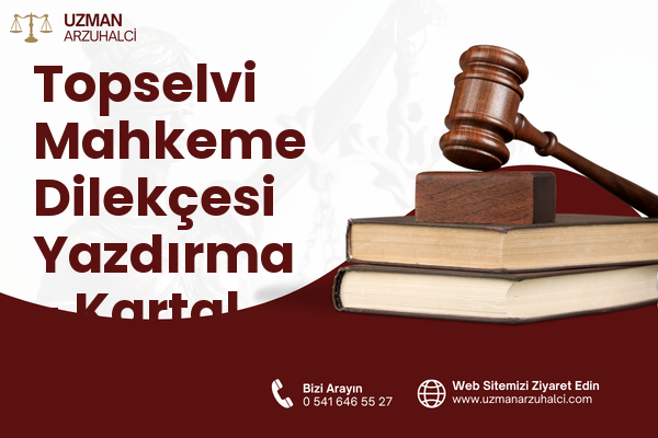 Topselvi Mahkeme Dilekçesi Yazdırma - Kartal