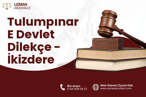 Tulumpınar E Devlet Dilekçe - İkizdere